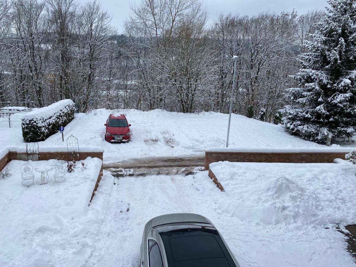 Apartman Pod Lesem Svoboda nad Úpou Exterior foto